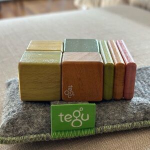 Tegu Wooden Magnetic Blocks Set